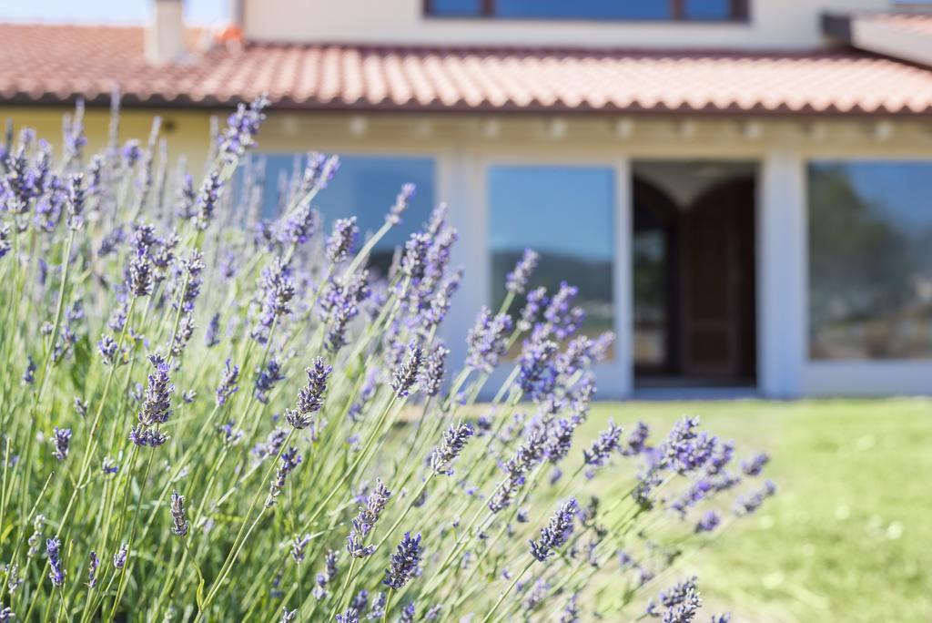 Agriturismo Terre Di Castiglione กาส์ตีจลิโอเน เดลลา เปสกายา ภายนอก รูปภาพ