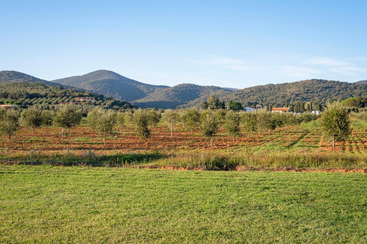 Agriturismo Terre Di Castiglione กาส์ตีจลิโอเน เดลลา เปสกายา ภายนอก รูปภาพ