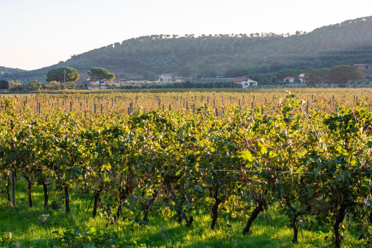 Agriturismo Terre Di Castiglione กาส์ตีจลิโอเน เดลลา เปสกายา ภายนอก รูปภาพ