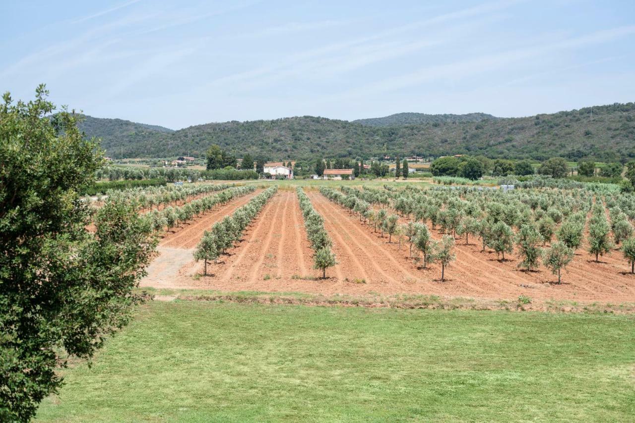 Agriturismo Terre Di Castiglione กาส์ตีจลิโอเน เดลลา เปสกายา ภายนอก รูปภาพ
